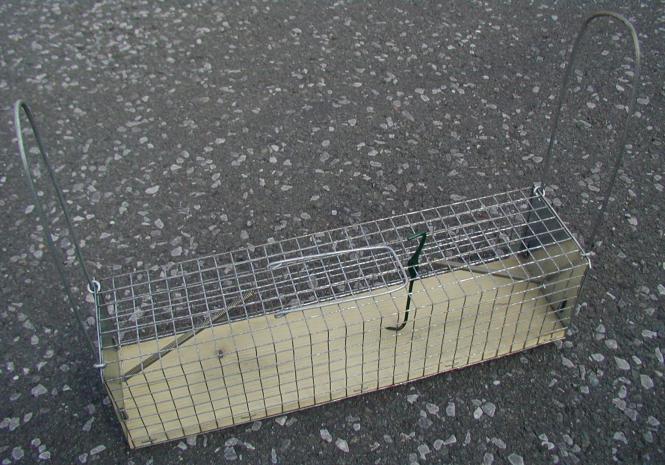 Rattenfalle - Lebendfalle, zweiseitig 10 x 10 x 37 cm 